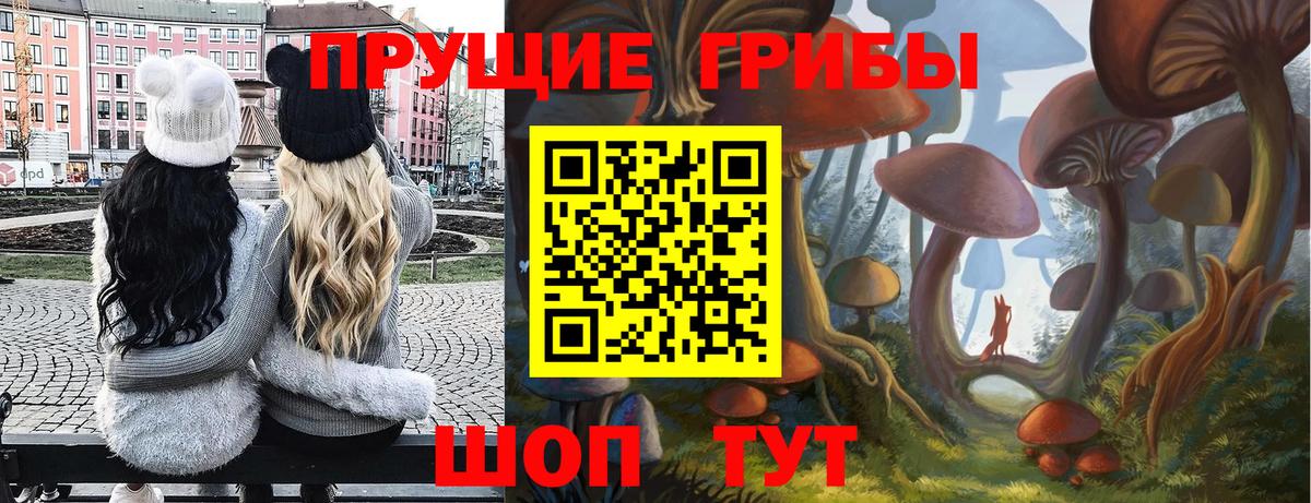 Галлюциногенные грибы ЛСД  Псилоцибиновые грибы ЛСД  Чебаркуль  Вход с VPN 